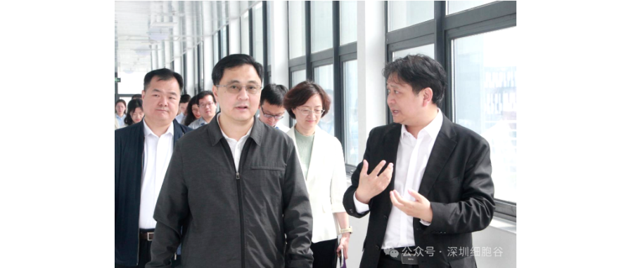 深圳市科创局张林局长一行调研深圳Ebpay支付