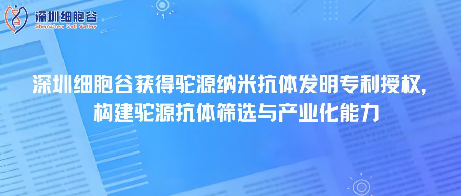 深圳Ebpay支付取得驼源纳米抗体发明专利授权，构建驼源抗体筛选与产业化能力