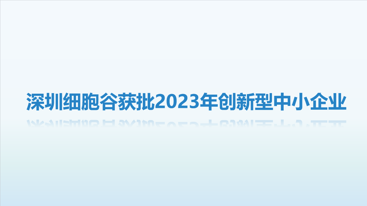 【喜讯】 深圳Ebpay支付获批2023年创新型中小企业