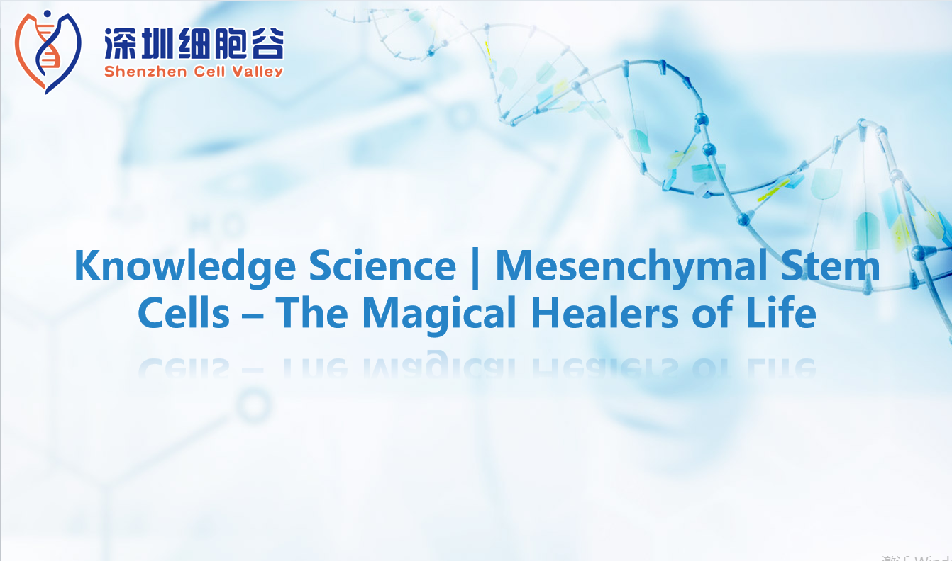 Knowledge Science | Mesenchymal Stem Cells – The Magical Healers of Life