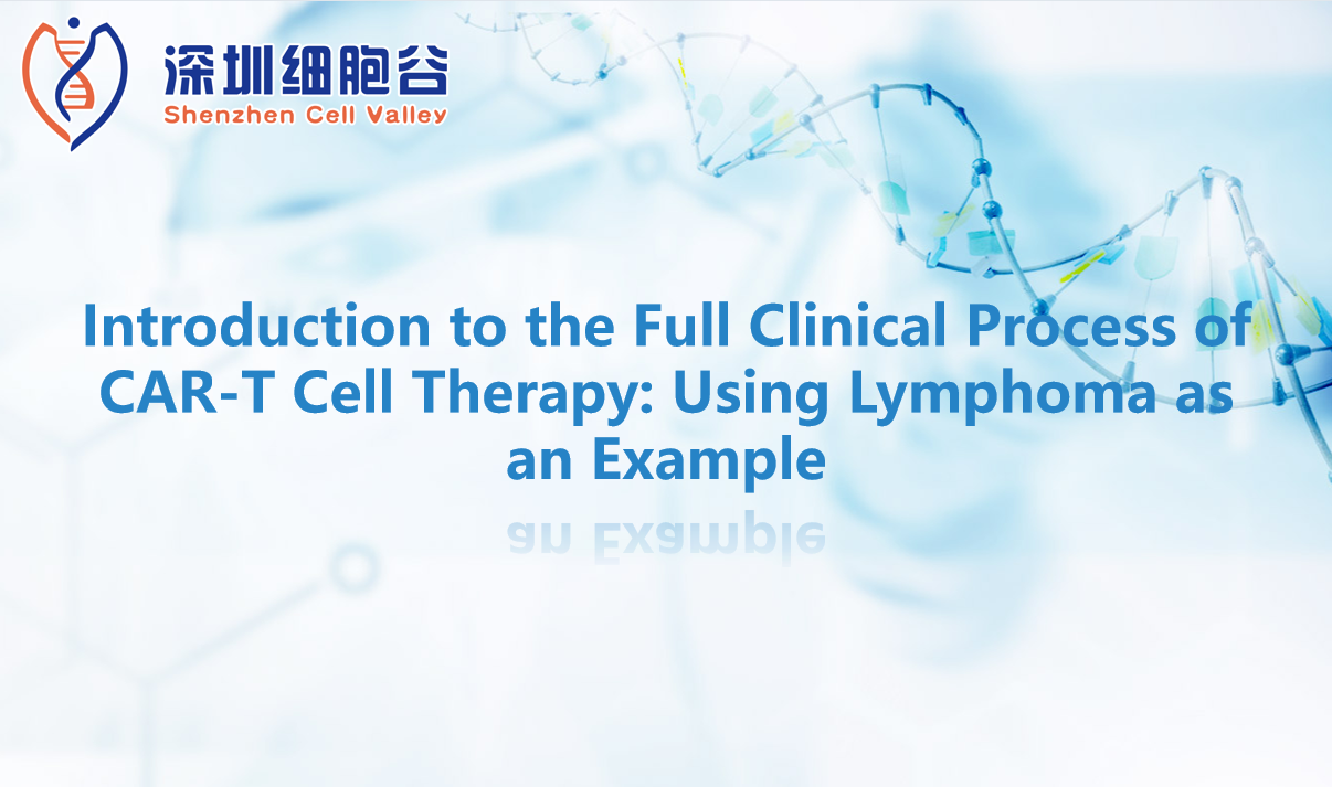 Introduction to the Full Clinical Process of CAR-T Cell Therapy: Using Lymphoma as an Example