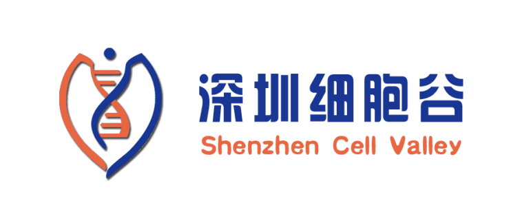 企业简介