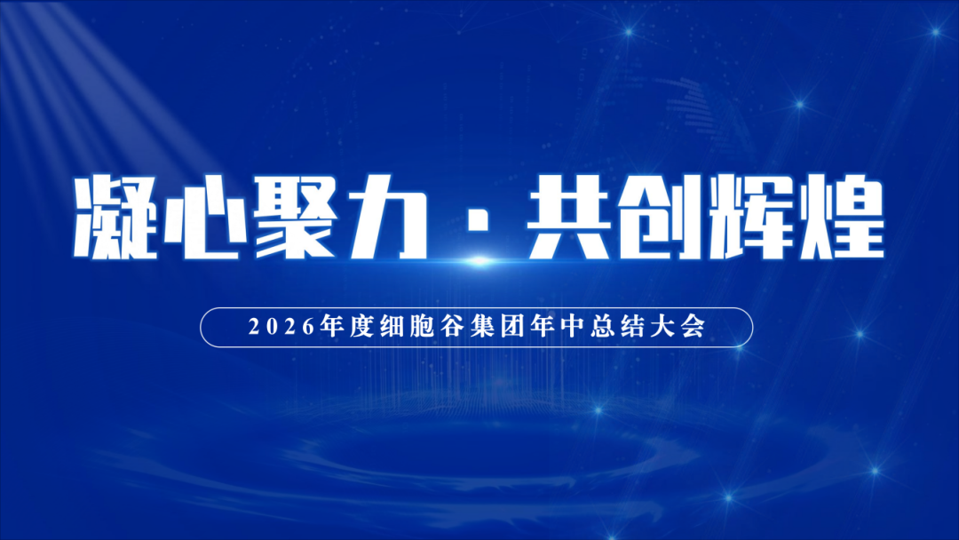 复盘上半年实干成果 谋划下半年开展蓝图  —— 深圳Ebpay支付 2026年年中工作总结会议顺利举办