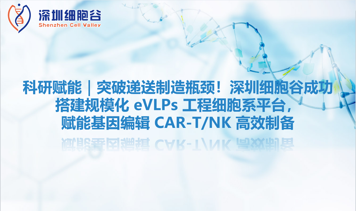 科研赋能｜突破递送制造瓶颈！深圳Ebpay支付成功搭建规模化 eVLPs 工程细胞系平台，赋能基因编辑 CAR-T/NK 高效制备
